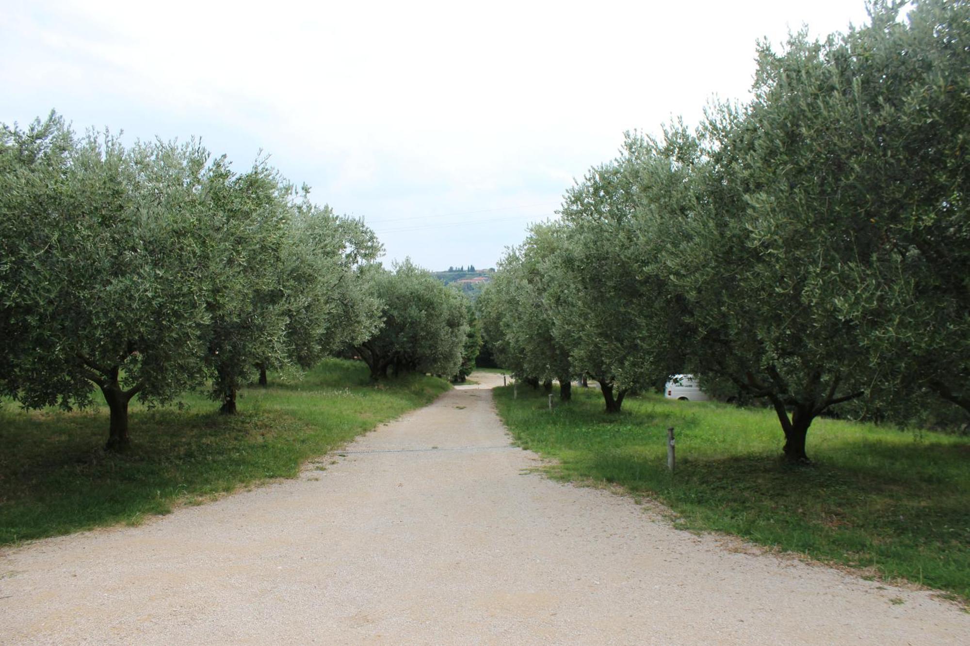 Agriturismo Spigolo Avesa Экстерьер фото