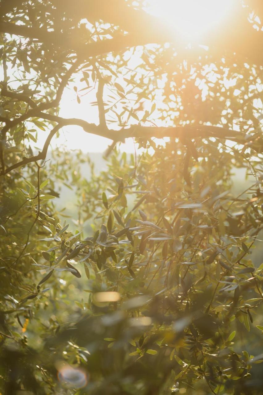 Agriturismo Spigolo Avesa Экстерьер фото